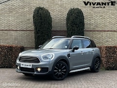 MINI Countryman - 1.5 Cooper Leder | Cruise | Navi | AppleCarplay