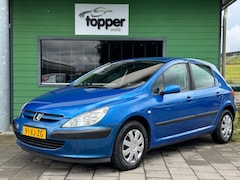 Peugeot 307 - 1.6-16V XT Premium / Automaat / CruiseControl /