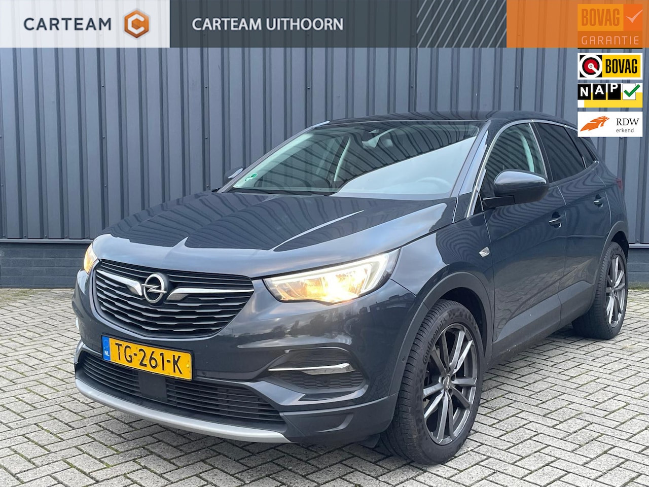 Opel Grandland X - 1.2 Turbo Business Executive 1.2 Turbo Business Executive, Full options, Panorama dak, Leder & winter pakket - AutoWereld.nl