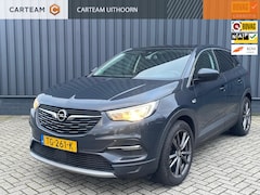 Opel Grandland X - 1.2 Turbo Business Executive, Full options, Panorama dak, Leder & winter pakket