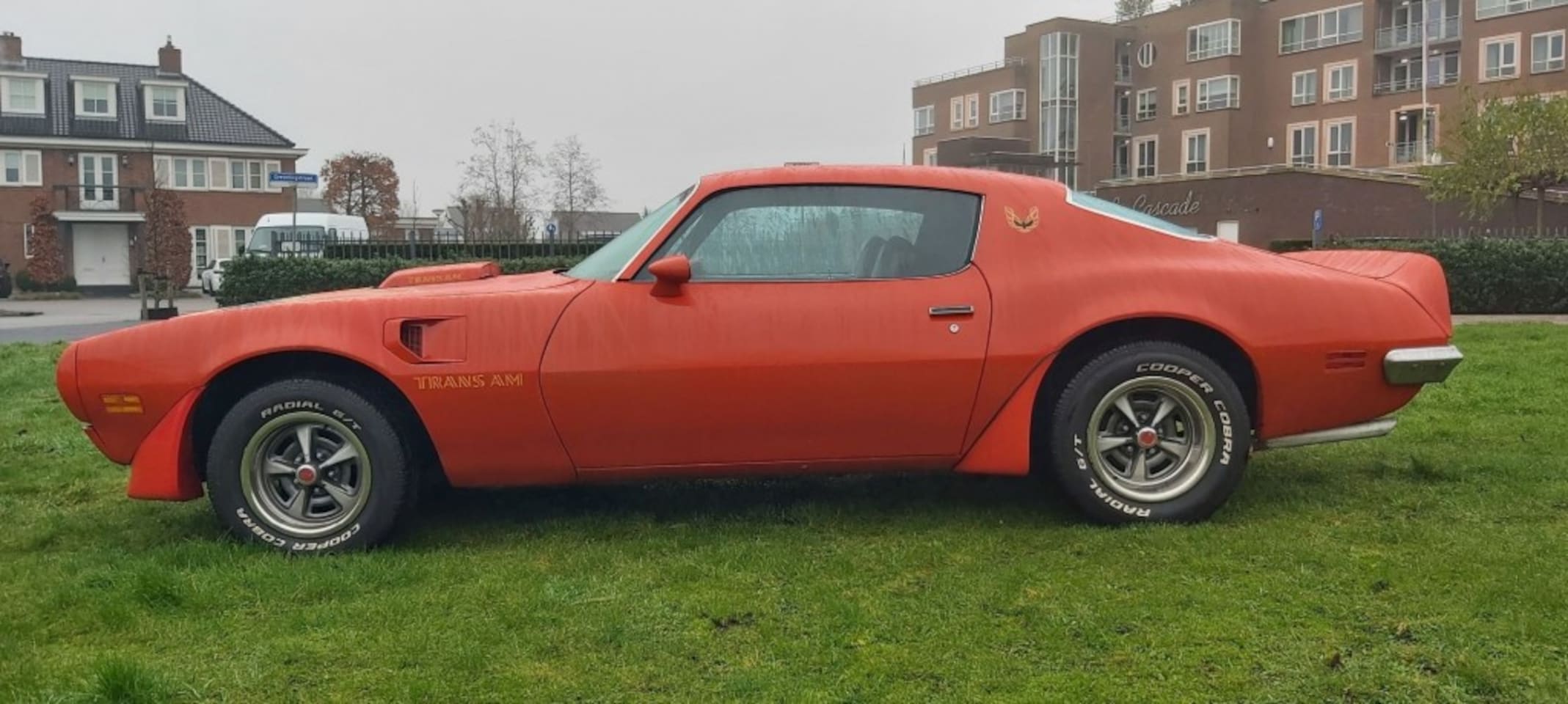 Pontiac Firebird - trans am - AutoWereld.nl