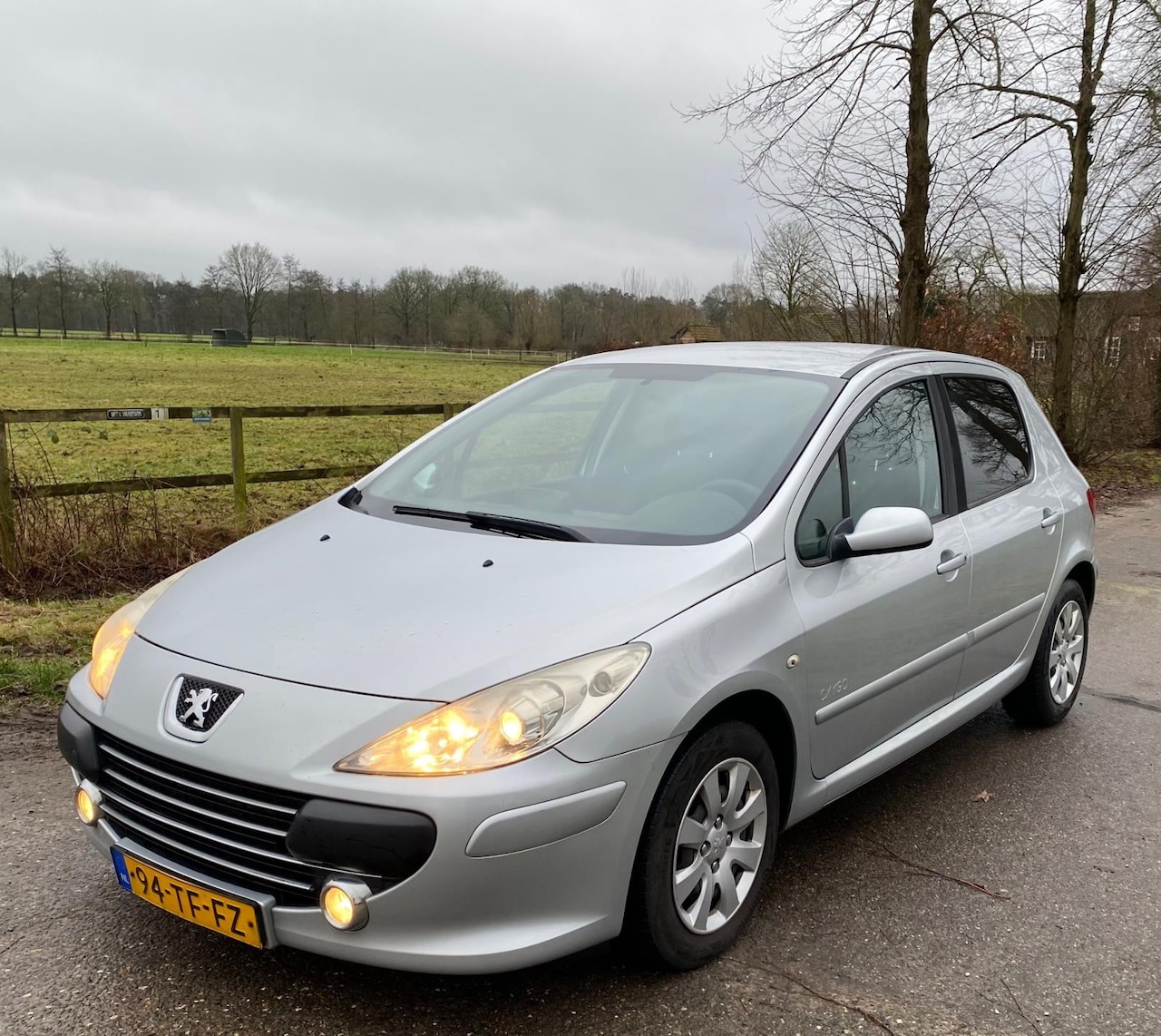 Peugeot 307 - 1.6-16V Oxygo 1.6-16V Oxygo - AutoWereld.nl