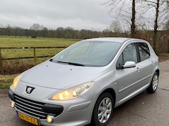 Peugeot 307 - 1.6-16V Oxygo