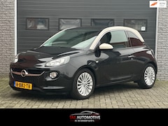 Opel ADAM - 1.0 Turbo Rocks CLIMA / PANO / APK / 90.414 KM