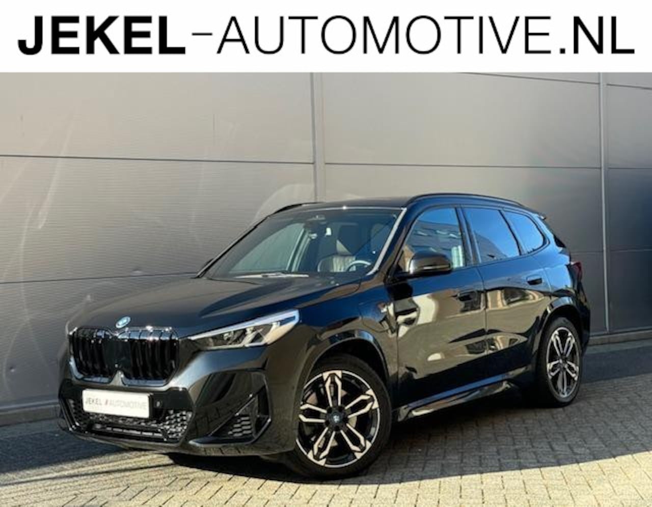 BMW X1 - xDrive25e M-Sport, Panoramadak, 19" LM velgen, Leren bekleding - AutoWereld.nl