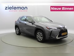 Lexus UX - 300e Business 54 kWh - Navi, Camera