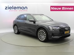 Audi e-tron - 55 quattro Business edition Plus 95 kWh