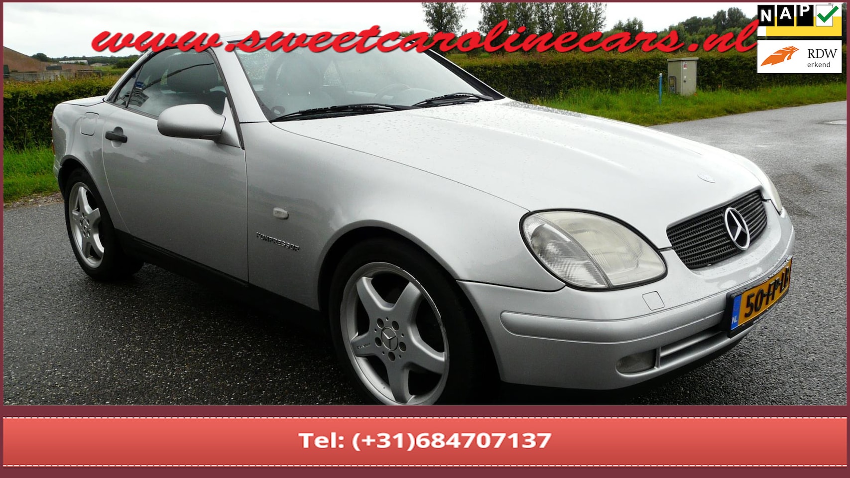 Mercedes-Benz SLK-klasse - 230 K. 230 K.,AMG styling pakket,aparte two-tone color! - AutoWereld.nl