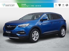 Opel Grandland X - 1.2 Turbo 130 Pk Business Executive | Navigatie Pro | Climate Control | Parkeersensoren/Ca