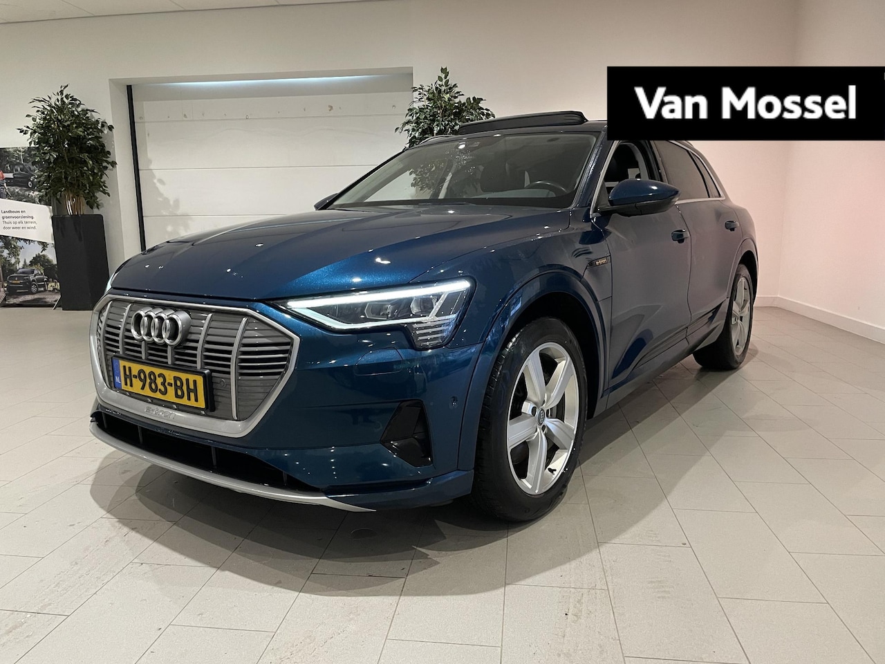 Audi e-tron - e-tron 50 quattro Launch edition plus 71 kWh 313PK | Panoramadak | Navigatie | Afneembare - AutoWereld.nl