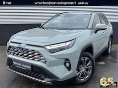 Toyota RAV4 - 2.5 Hybrid AWD Executive CVT Automaat Navigatie, Elektrische bestuurdersstoel + Geheugen,