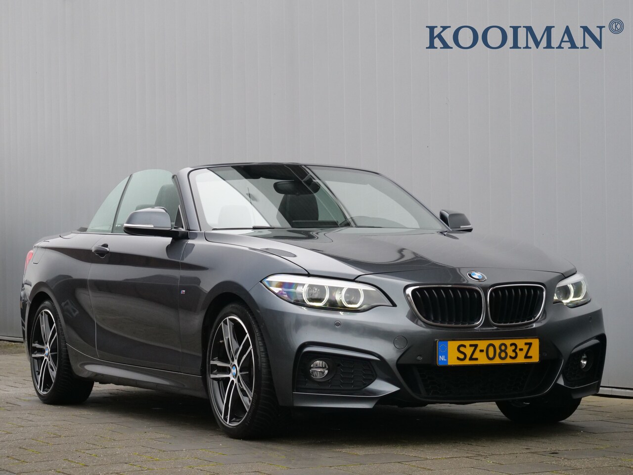 BMW 2-serie Cabrio - 220i High Executive 184 Pk Automaat Leder / Navigatie / Camera / M-pakket - AutoWereld.nl