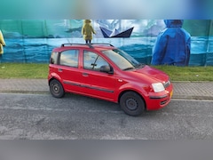 Fiat Panda - 1.2 Active