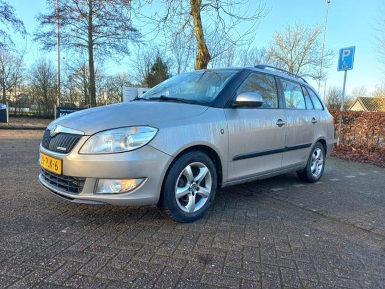 Skoda Fabia Combi - 1.2 TDI airco cruis sp velgen elk ramen - AutoWereld.nl