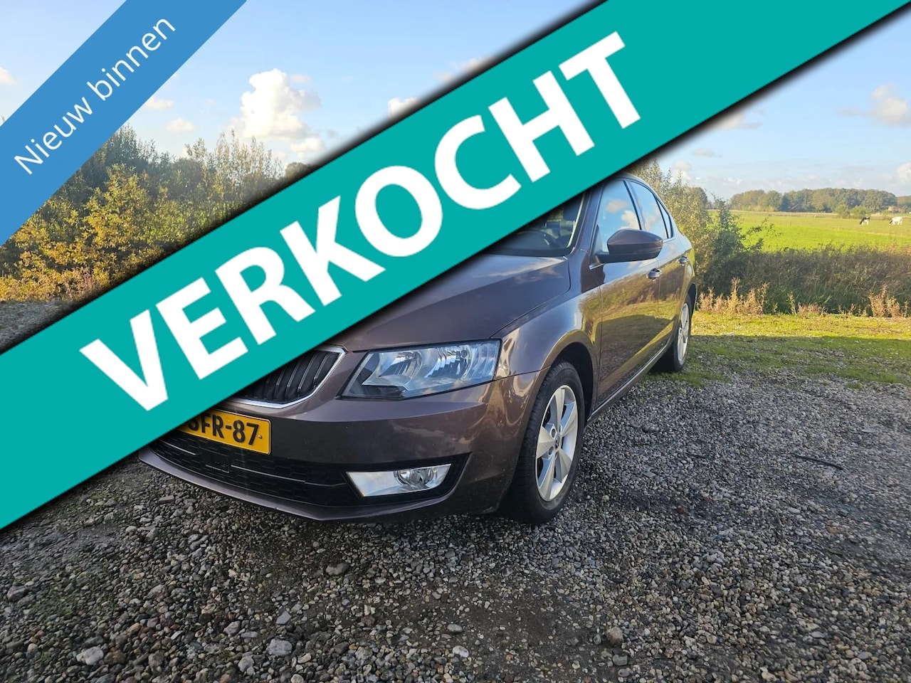 Skoda Octavia - 1.2 TSI Greentech Elegance AUTOMAAT! - AutoWereld.nl