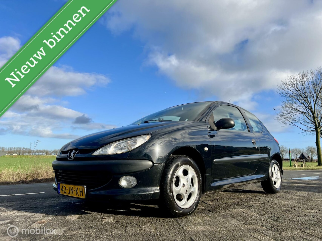 Peugeot 206 - 1.4 XS Premium 1.4 XS Premium, BJ 2003, Airco, Leer, APK,Zuinig - AutoWereld.nl