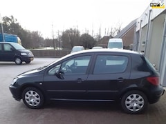 Peugeot 307 - 1.6-16V XS