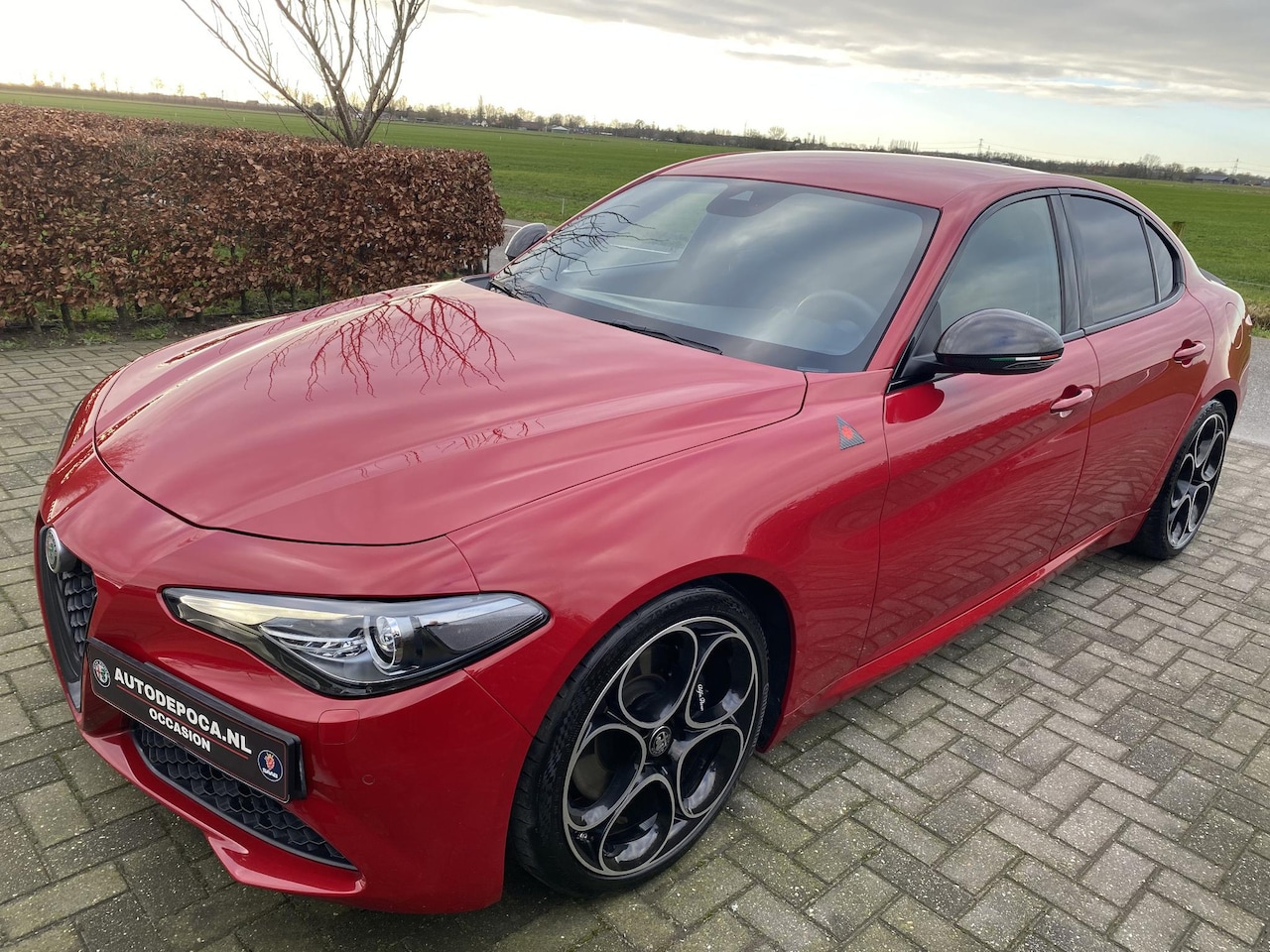 Alfa Romeo Giulia - 2.0T B-Tech Apple carplay, 19 inch Veloce interieur, prachtige auto! - AutoWereld.nl