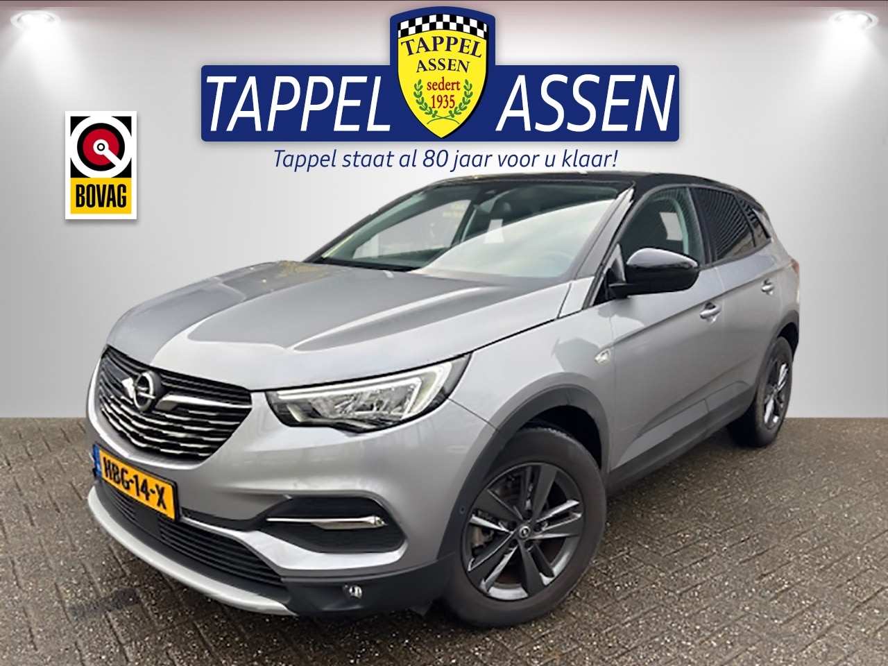 Opel Grandland X - 1.2 Turbo Elegance Business 136 PK - AutoWereld.nl