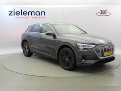 Audi e-tron - 50 quattro Lounge edition 71 kWh