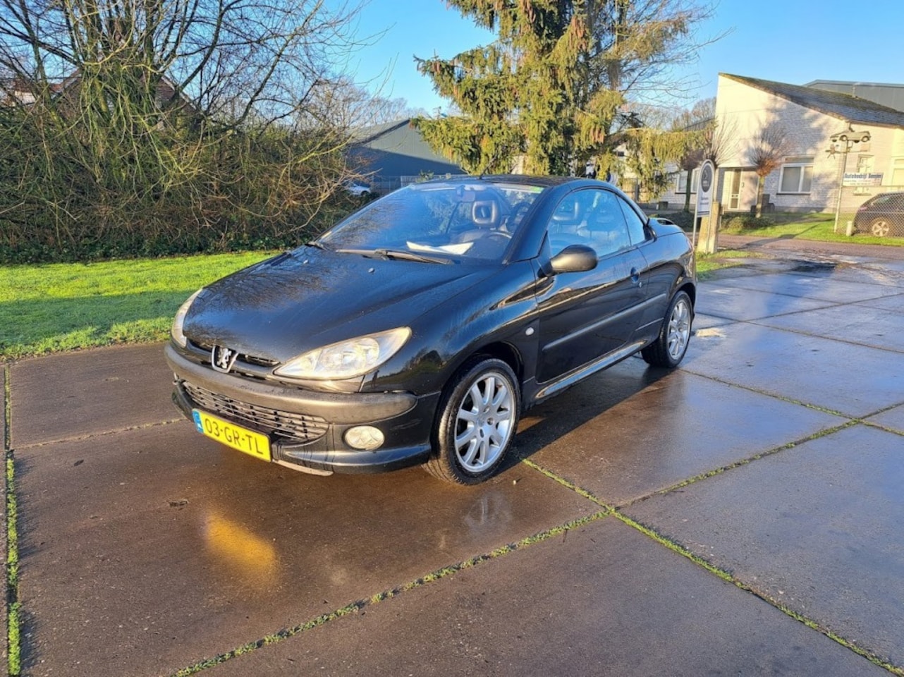 Peugeot 206 - 2.0-16V Cabriolet - AutoWereld.nl