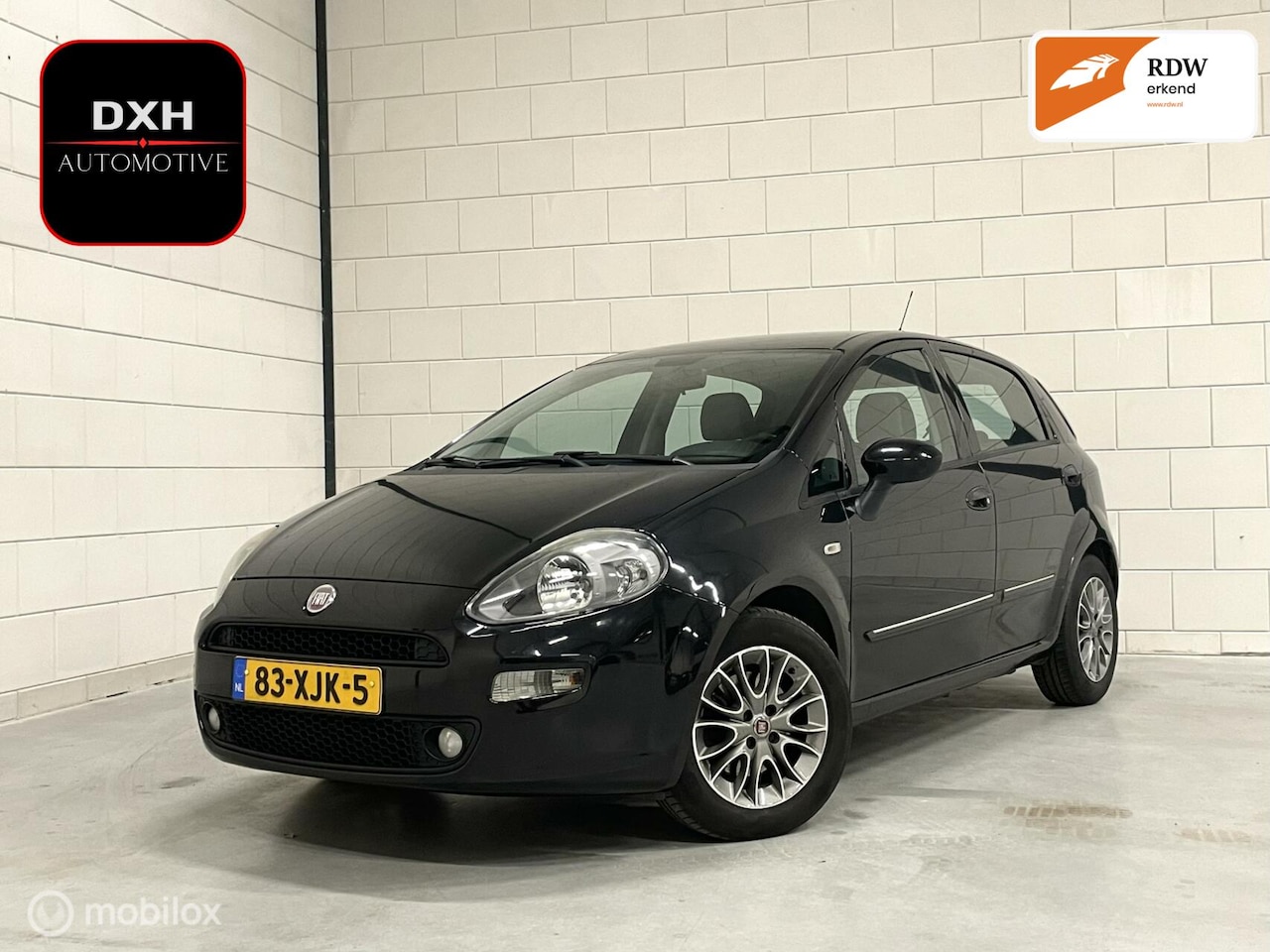 Fiat Punto Evo - 1.3 M-Jet NAP APK-6/2025 CRUISE CLIMA TREKHK - AutoWereld.nl