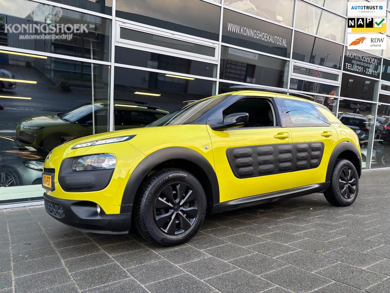 Citroën C4 Cactus - 1.6 BlueHDi Business 1.6 BlueHDi Business - AutoWereld.nl