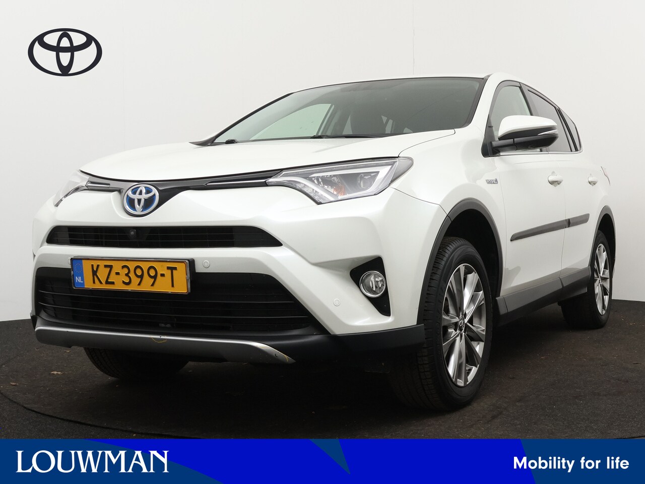 Toyota RAV4 - 2.5 Hybrid AWD Executive Business | Parkeersensoren | Trekhaak | Navigatie | Camera | Stoe - AutoWereld.nl