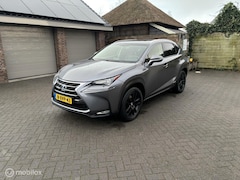 Lexus NX - 300h AWD President Line