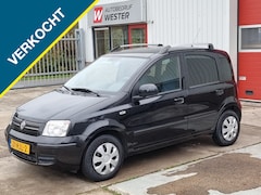 Fiat Panda - 1.2 Edizione Cool