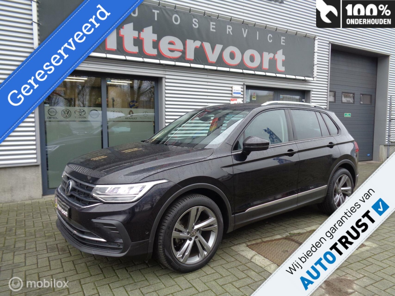 Volkswagen Tiguan - 1.5 TSI Life Business 1.5 TSI Life Business - AutoWereld.nl