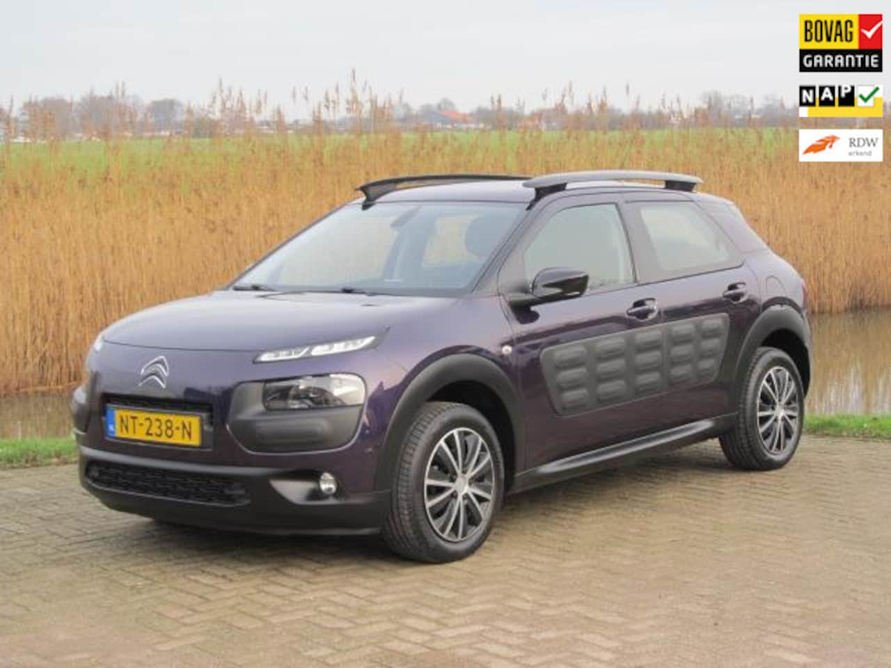 Citroën C4 Cactus - 1.2 PureTech Business 1.2 PureTech Business - AutoWereld.nl