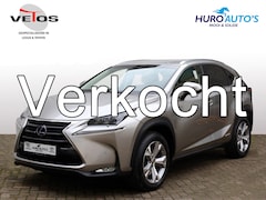 Lexus NX - 300h AWD President Line | Mark Levinson | 360 Camera | Dodehoek