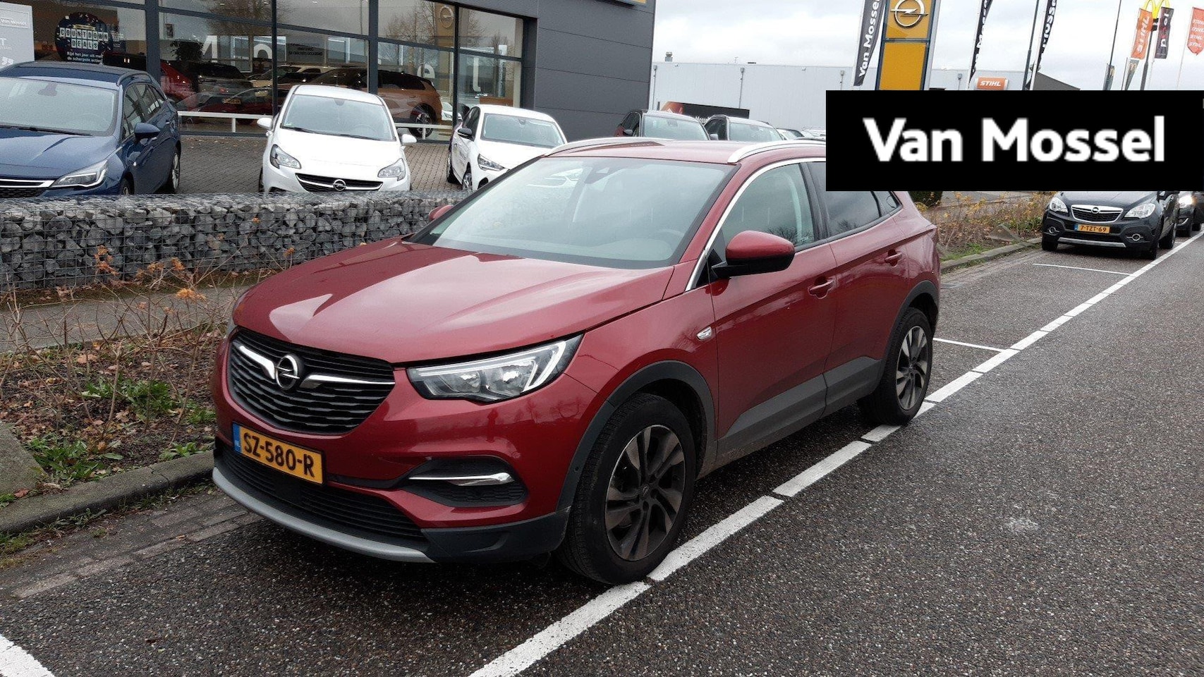 Opel Grandland X - 1.2 Turbo Business Executive 1.2 Turbo Business Executive - AutoWereld.nl