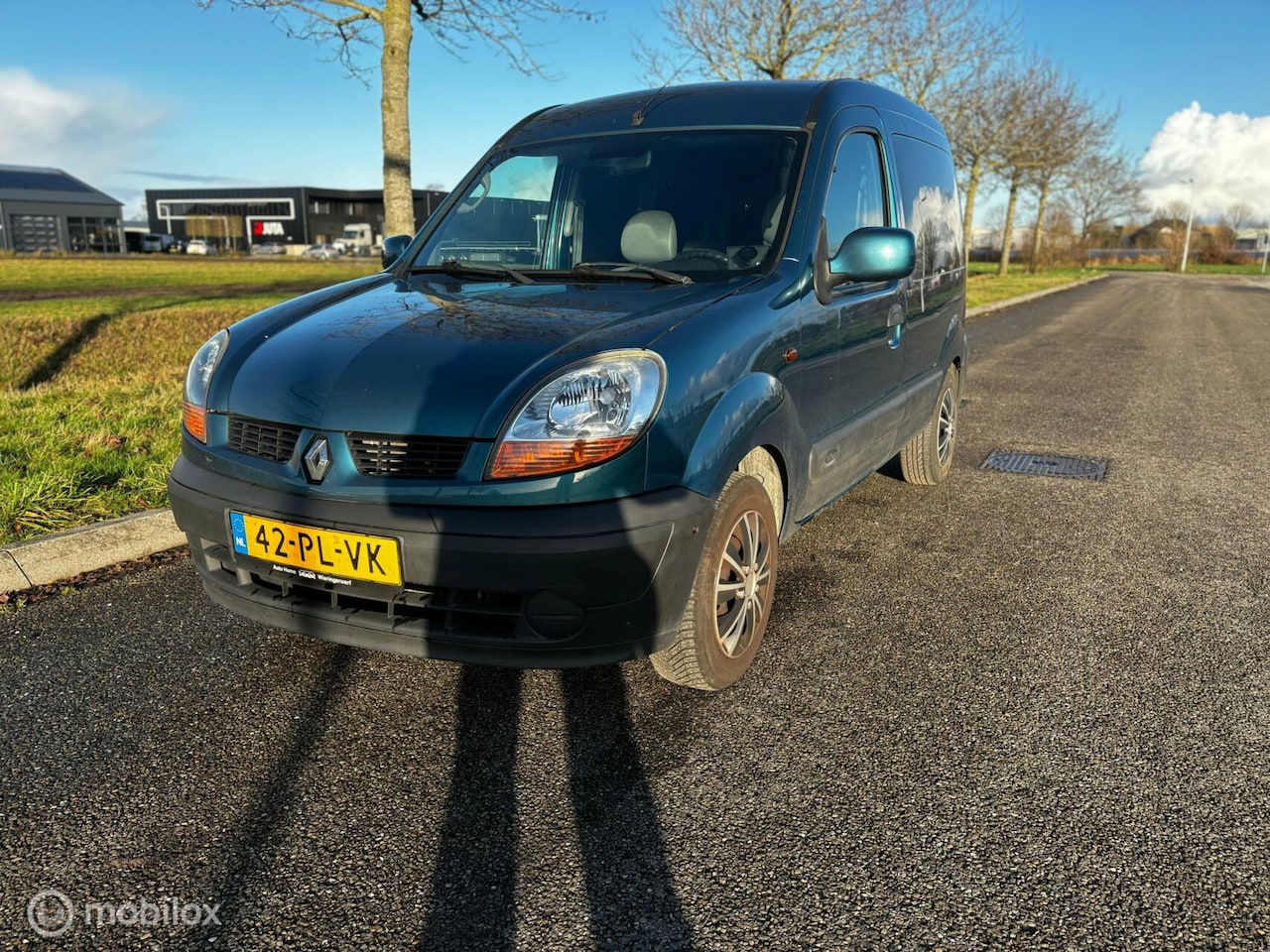 Renault Kangoo - combi 1.2-16V Privilège 5 persoons benzine - AutoWereld.nl