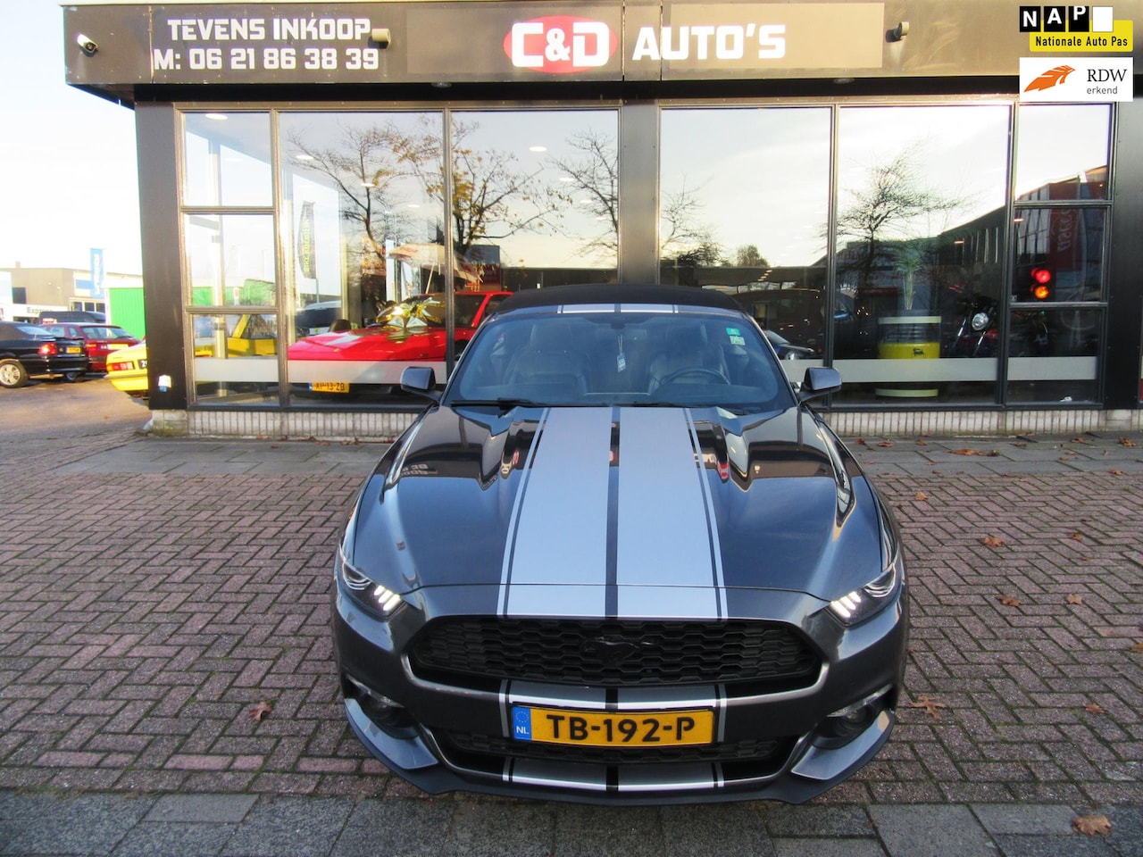 Ford Mustang Convertible - 2.3 EcoBoost AUT UNIEK EXEMPLAAR - AutoWereld.nl