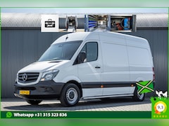 Mercedes-Benz Sprinter - 311 CDI | L2H2 | Euro 6 | Volledig ingericht | Camera | Airco