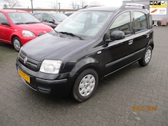 Fiat Panda - Panda 1.2 Edizione Cool