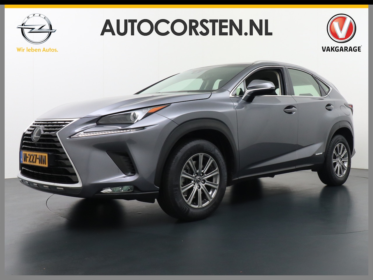 Lexus NX - 300h AUT. Navi Ecc Camera Leder Cruise Control DAB Stoelverwarming Adaptive bochtverlichti - AutoWereld.nl