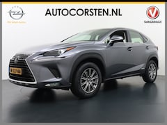 Lexus NX - 300h AUT. Navi Ecc Camera Leder Cruise Control DAB Stoelverwarming Adaptive bochtverlichti