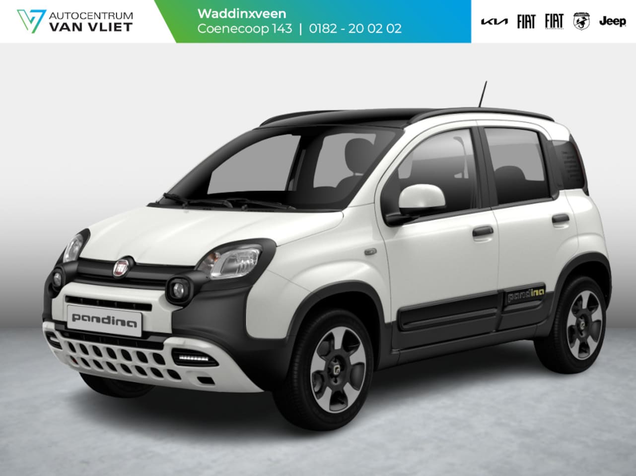 Fiat Panda - Hybrid Pandina | Beschikbaarheid in overleg ! - AutoWereld.nl