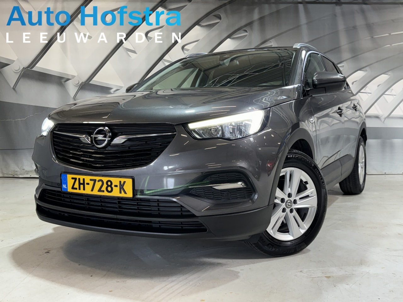 Opel Grandland X - 1.2 Turbo Business + LED NAVI CLIMA 2X-PDC LMV - AutoWereld.nl