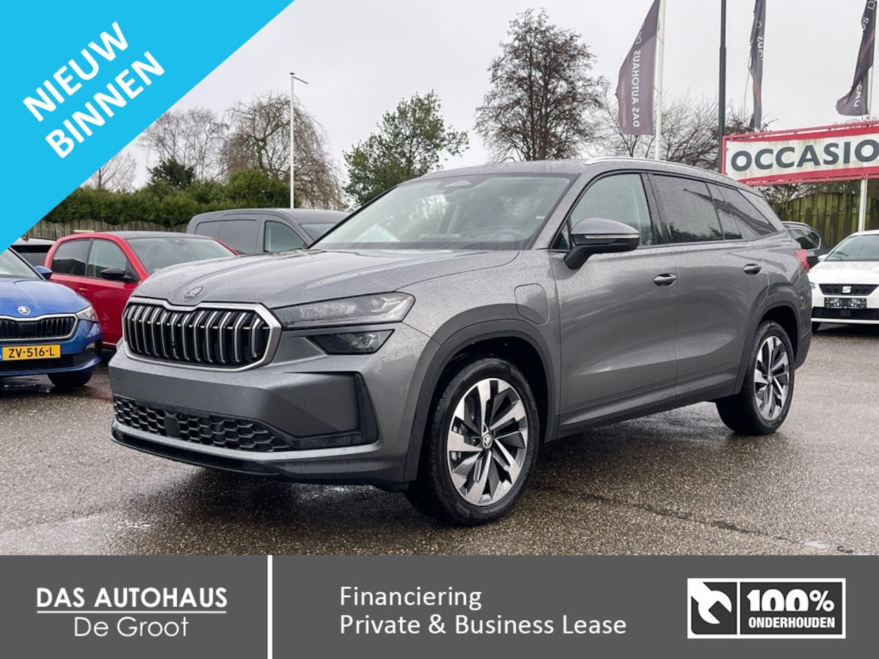 Skoda Kodiaq - 1.5 TSI iV 204pk Business Edition | Leer | Panoramadak - AutoWereld.nl