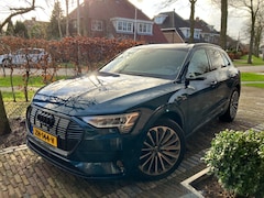 Audi e-tron - e-tron Pro Line S S-line Origineel NL 1e eig 115K