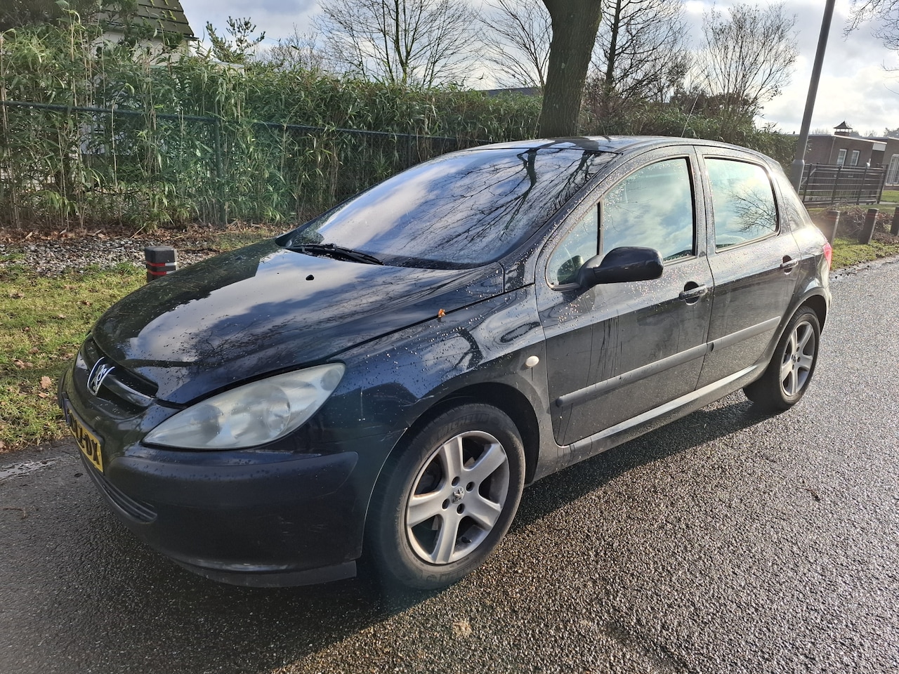 Peugeot 307 - 2.0-16V XS | Climate Control | Schuifdak | Lichtmetalen Velgen | nieuwe APK - AutoWereld.nl