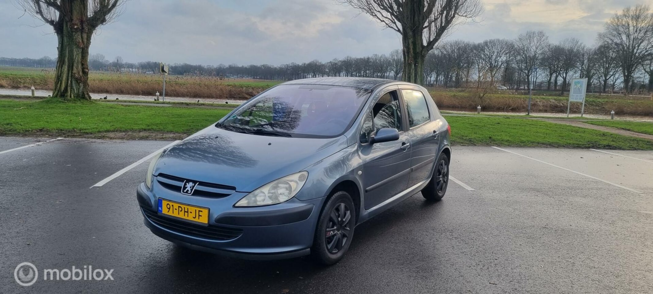 Peugeot 307 - 1.6-16V XS 5drs cv airco trekhaak el ramen !!!! - AutoWereld.nl