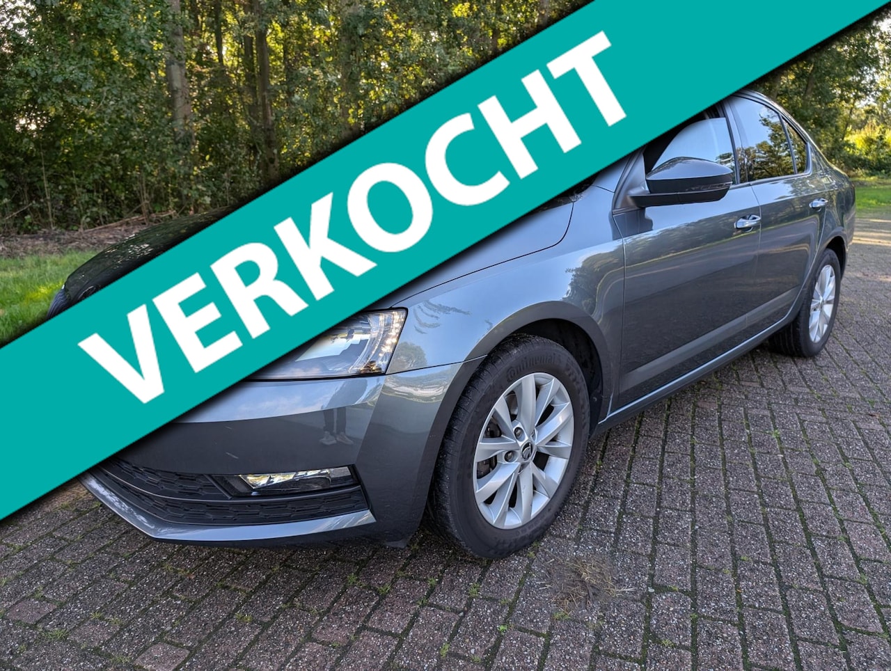 Skoda Octavia - 1.0 TSI luxe uitvoering!! Inruil mogelijk - AutoWereld.nl