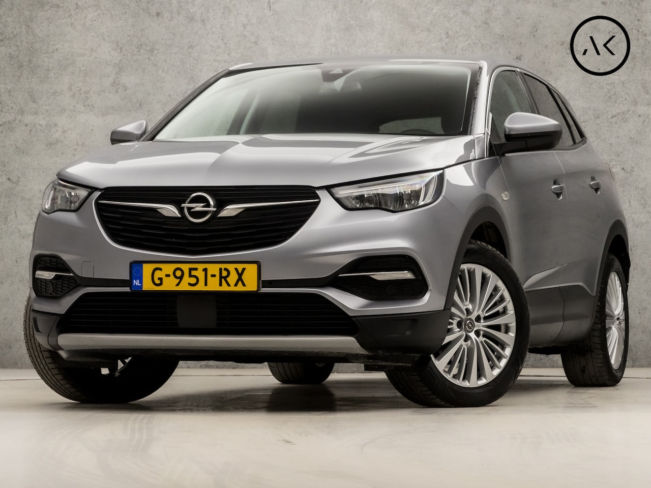 Opel Grandland X - 1.2 Turbo Business Executive Automaat (APPLE CARPLAY, GROOT NAVI, CLIMATE, LEDER, GETINT G - AutoWereld.nl