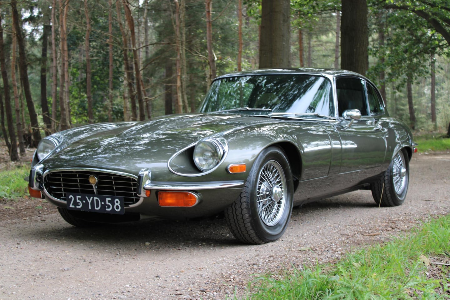 Jaguar E-type - "E" 5.3 V12 Nederlands mooiste Jaguar E-Type FHC 5.3 V12 automaat (C.Foose inspired) - mat - AutoWereld.nl