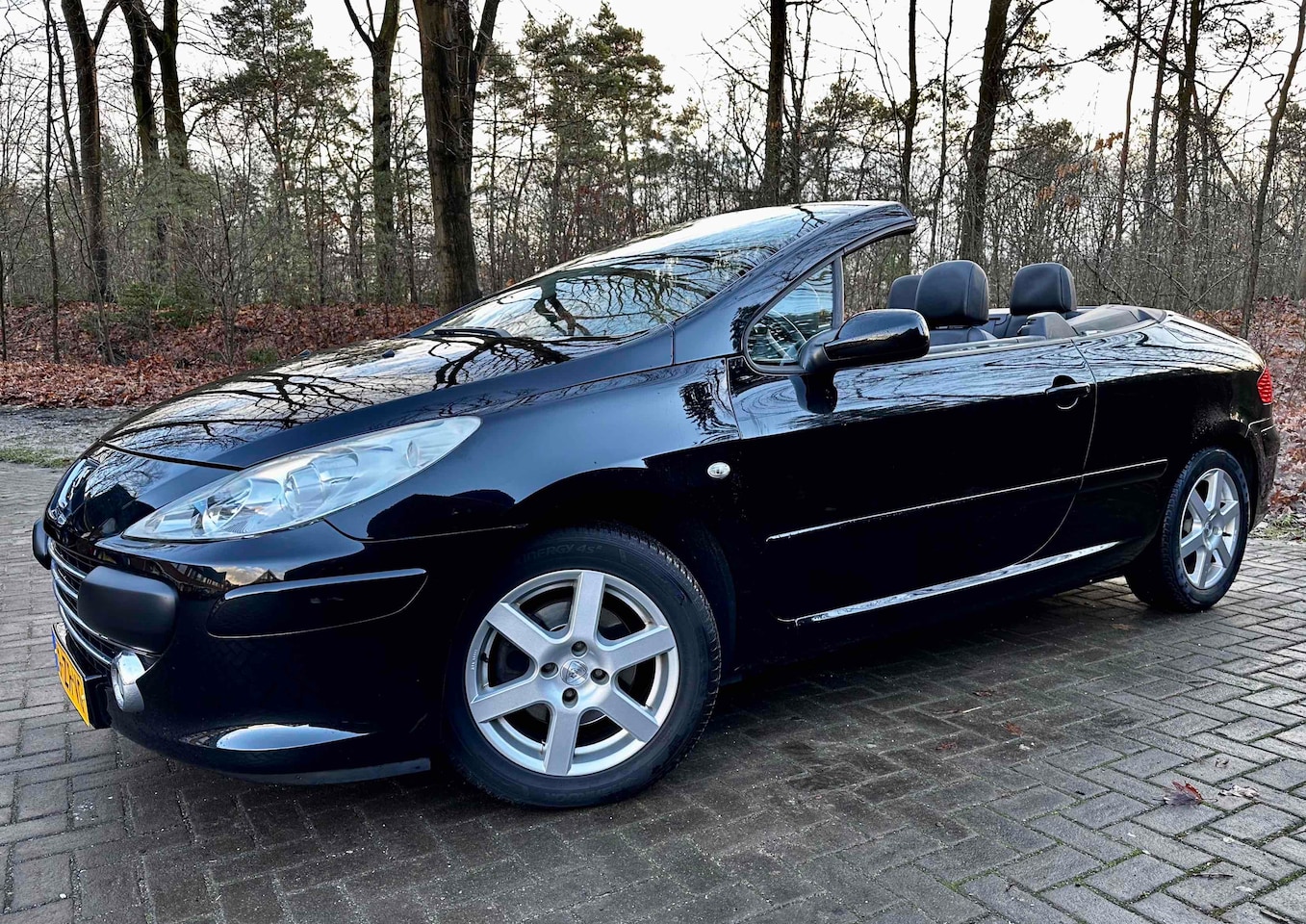 Peugeot 307 CC - 2.0-16V Palm Beach Clima/Airco/Navi/Cruise/Nap! - AutoWereld.nl